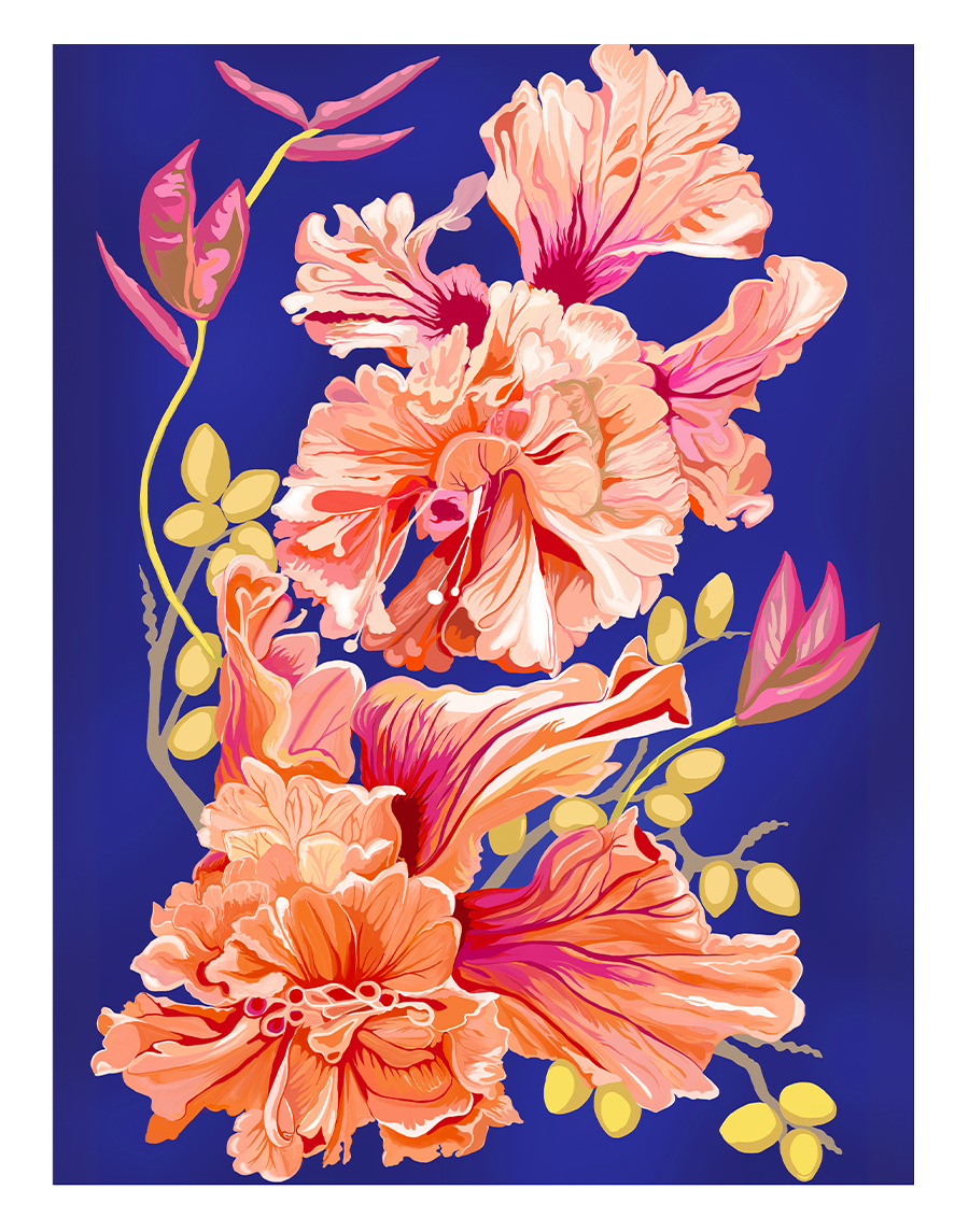 Double Peach Hibiscus No1